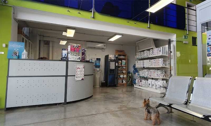 sircan-Pienso-gatos-Sitges-01